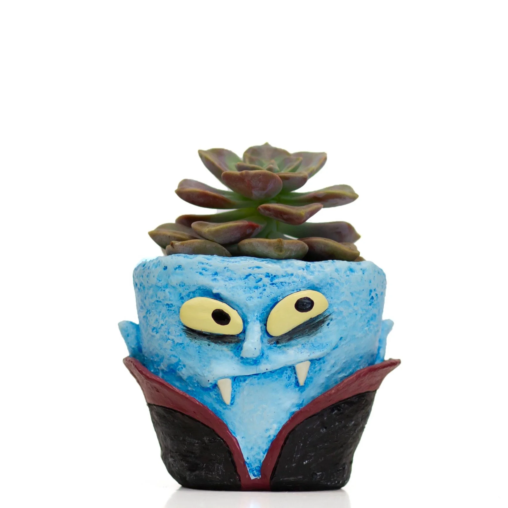 Cohasset Gifts and Garden — Halloween